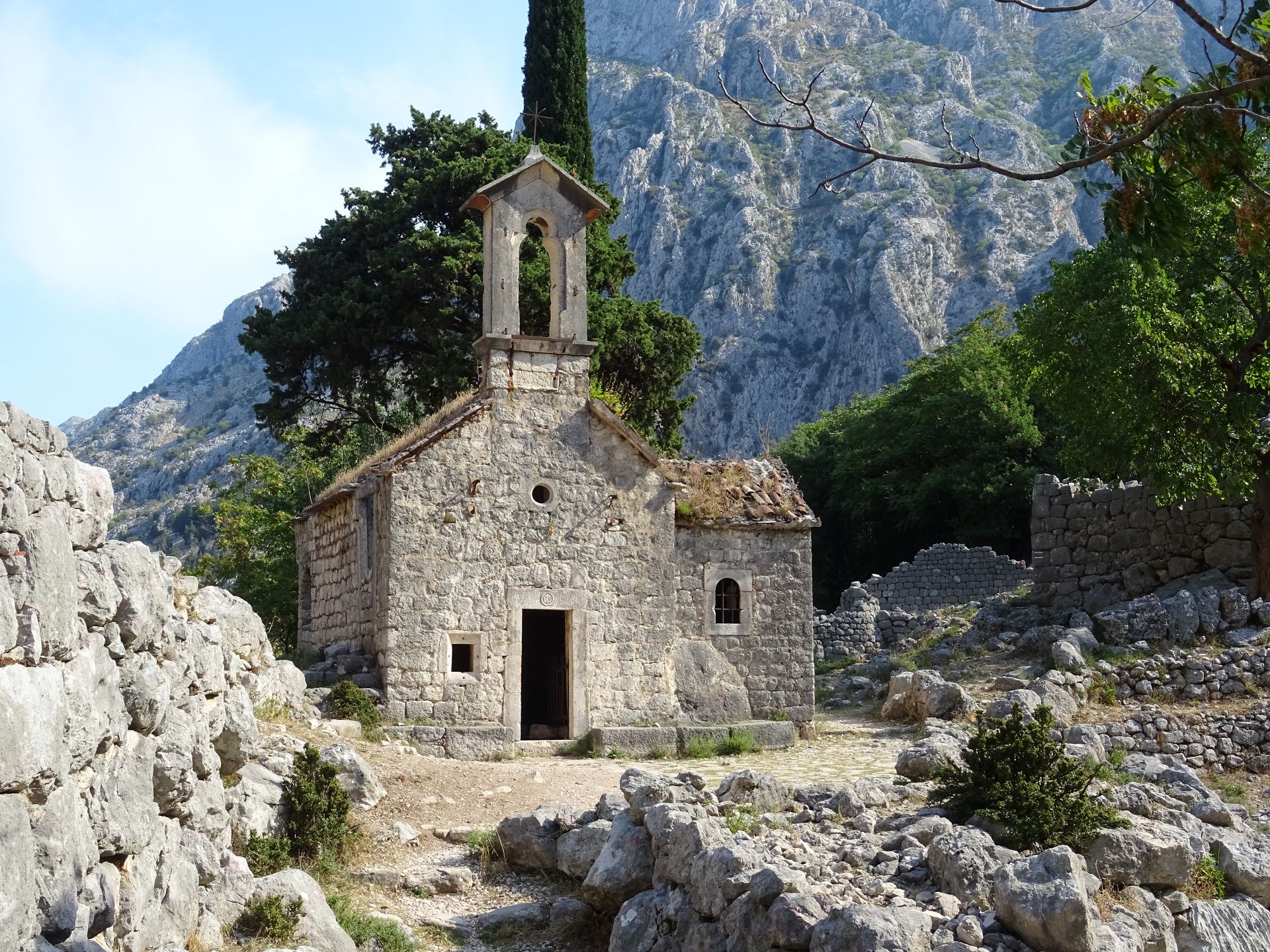 Kotor
